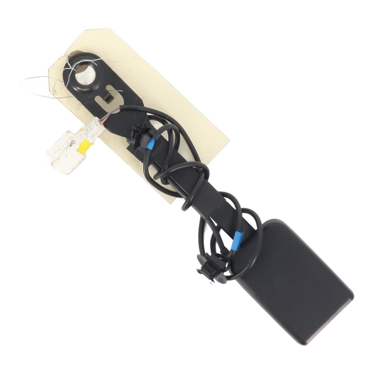 Image sélectionnée