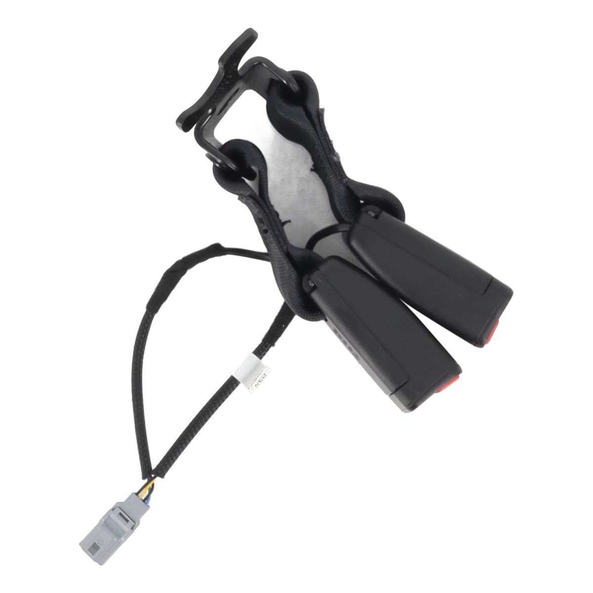 Image sélectionnée