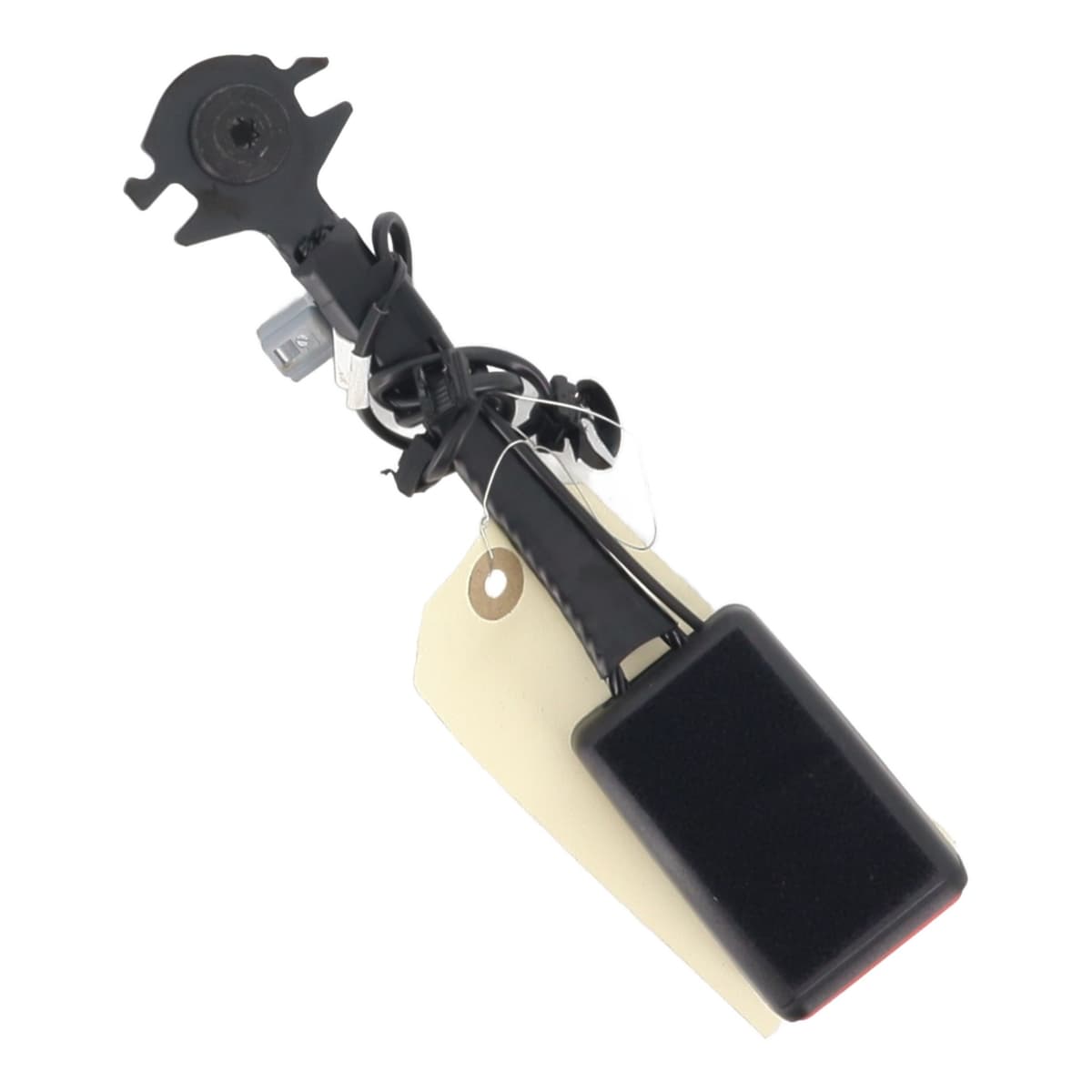 Image sélectionnée