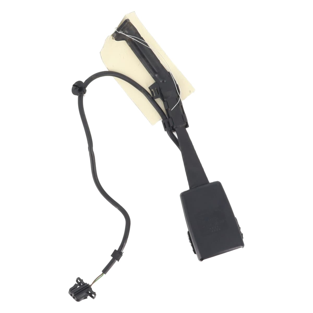 Image sélectionnée