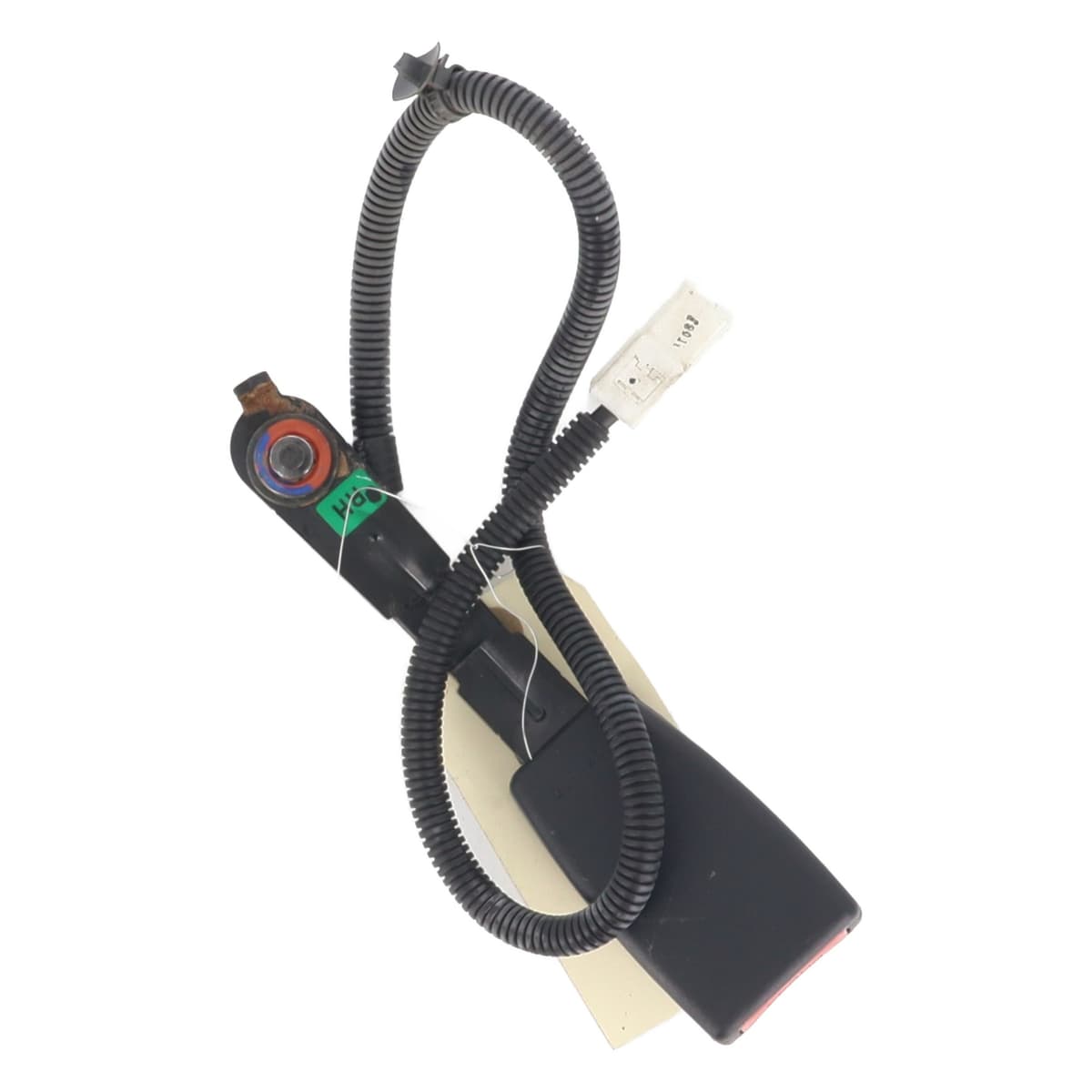 Image sélectionnée