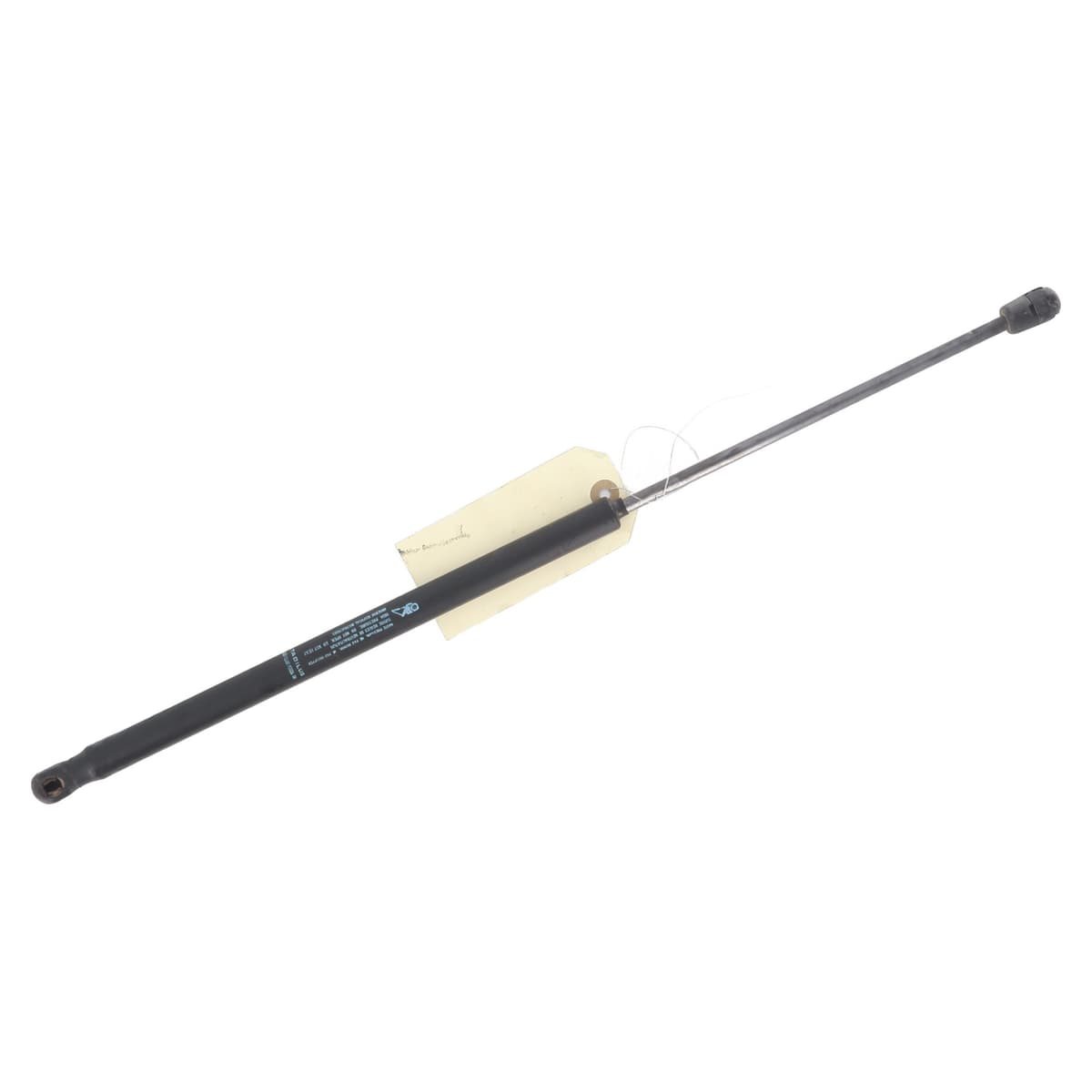 Image sélectionnée