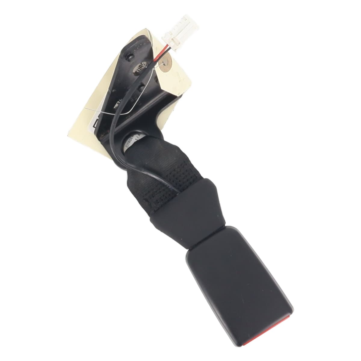 Image sélectionnée