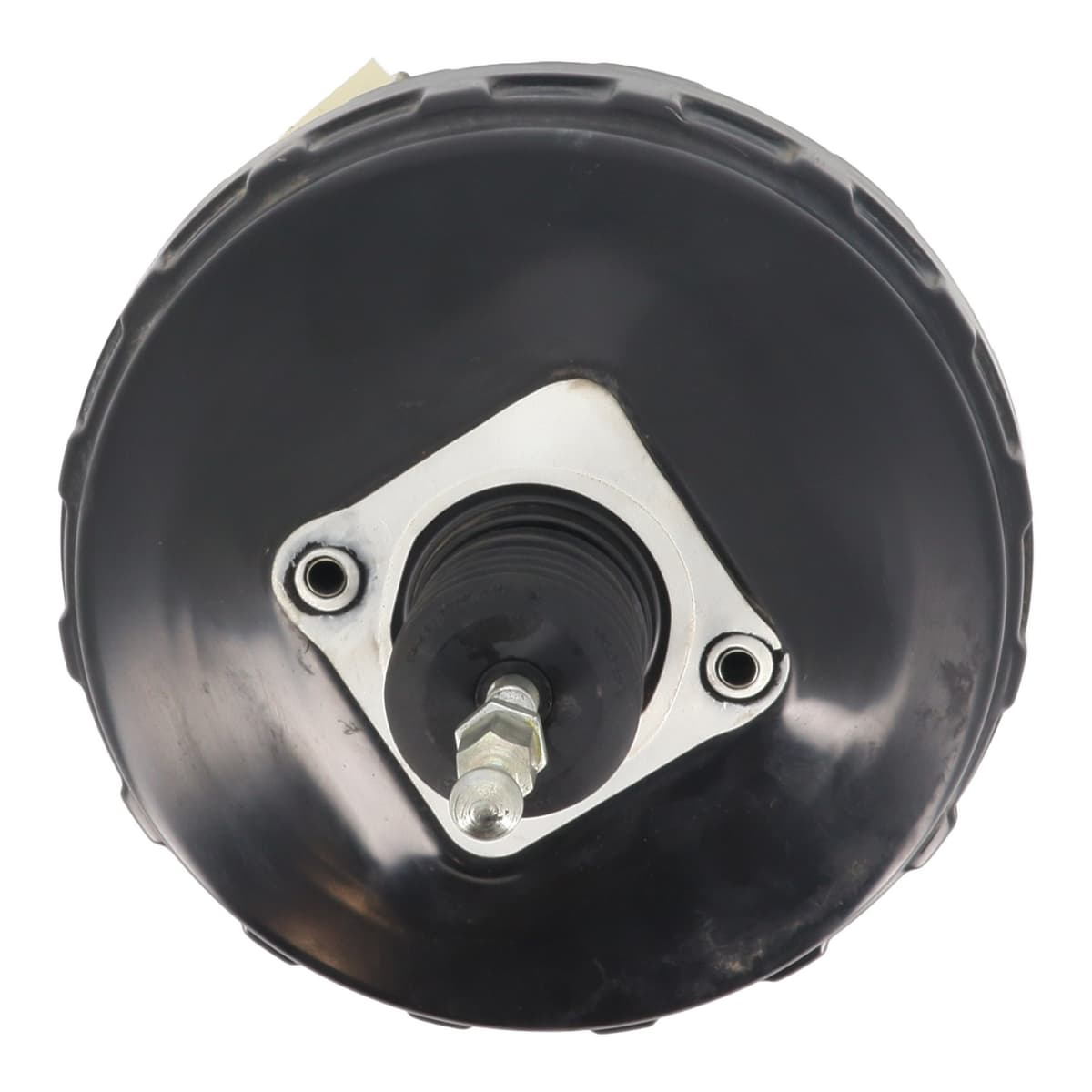 Image sélectionnée