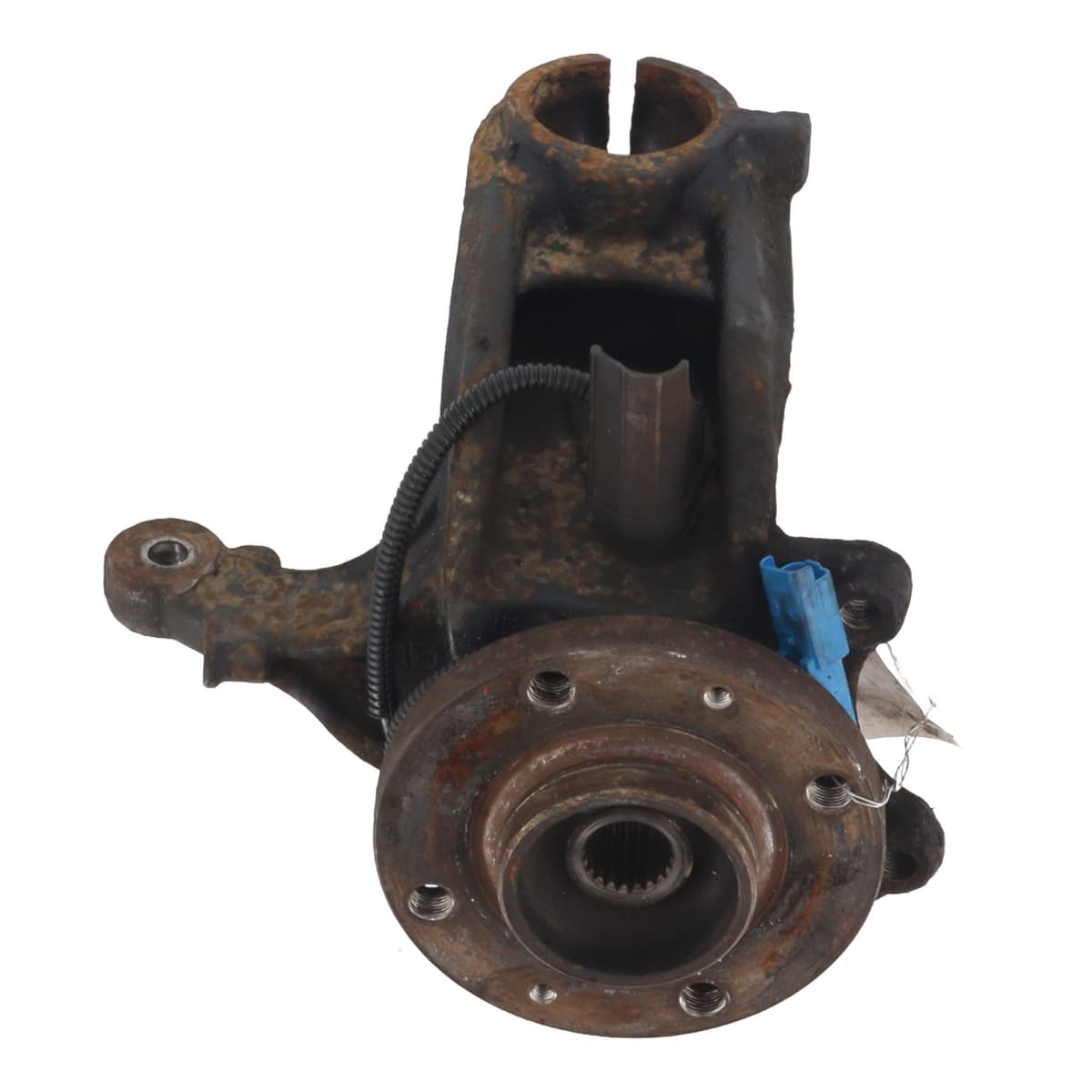 Image sélectionnée