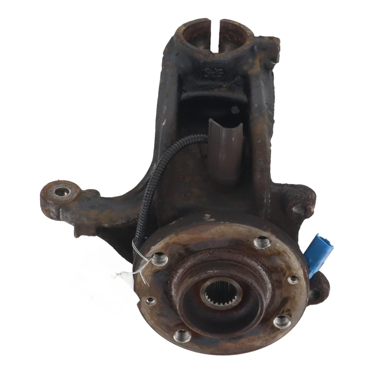 Image sélectionnée