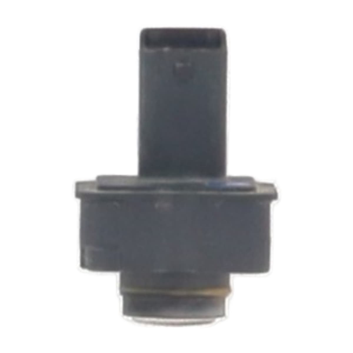 Image sélectionnée