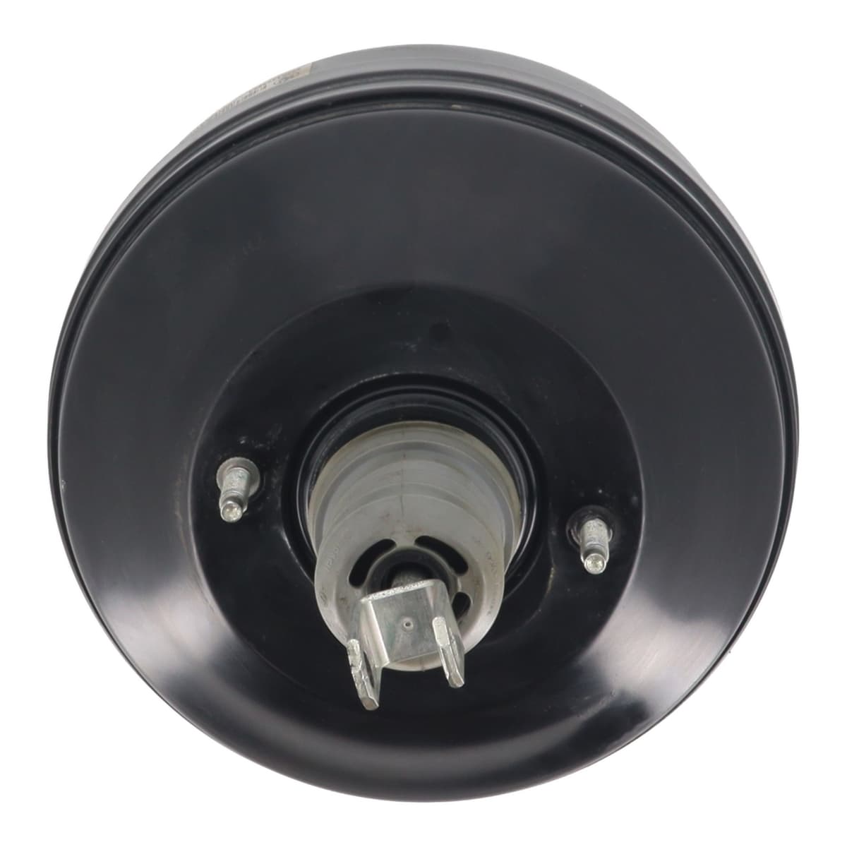 Image sélectionnée