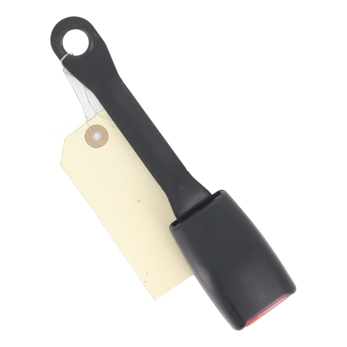 Image sélectionnée