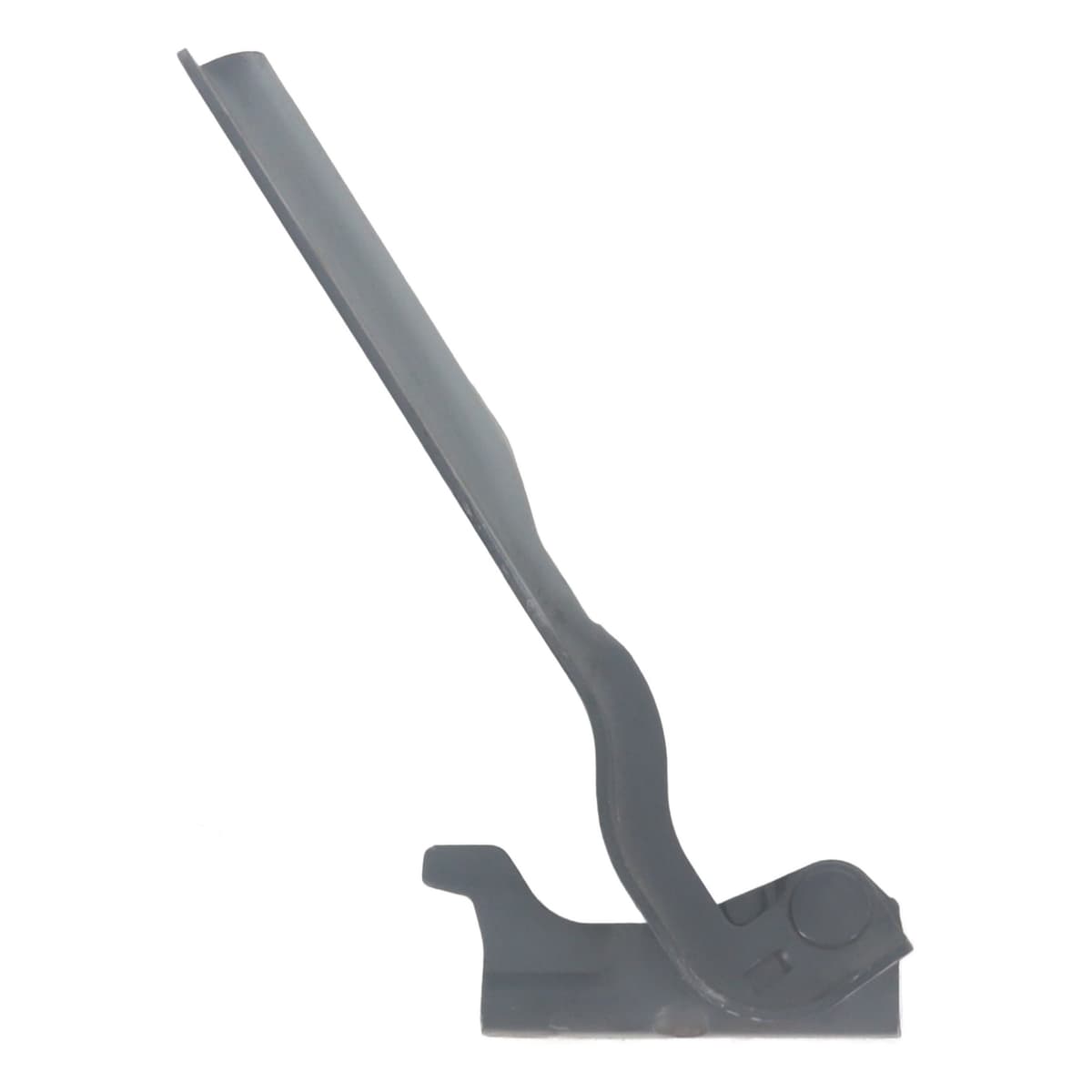 Image sélectionnée