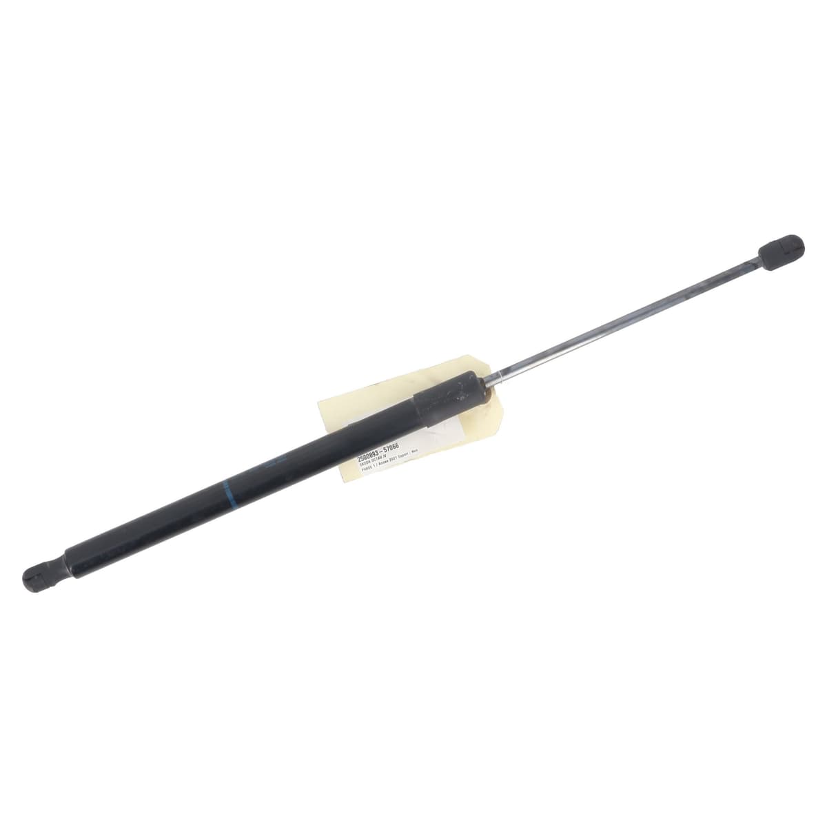 Image sélectionnée