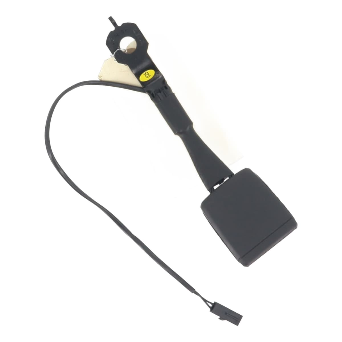 Image sélectionnée