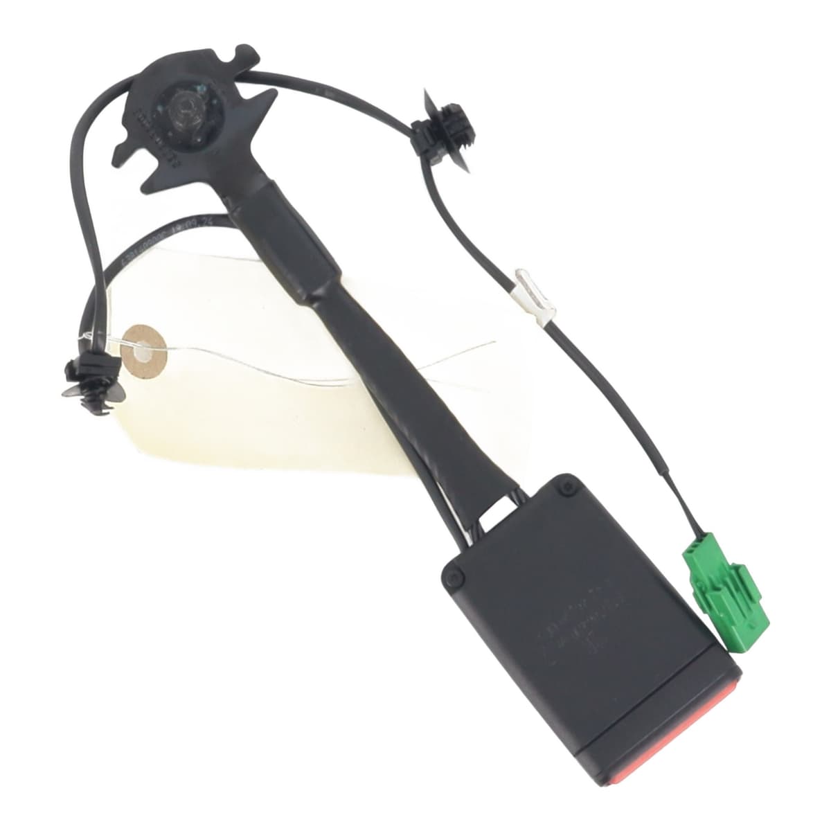 Image sélectionnée