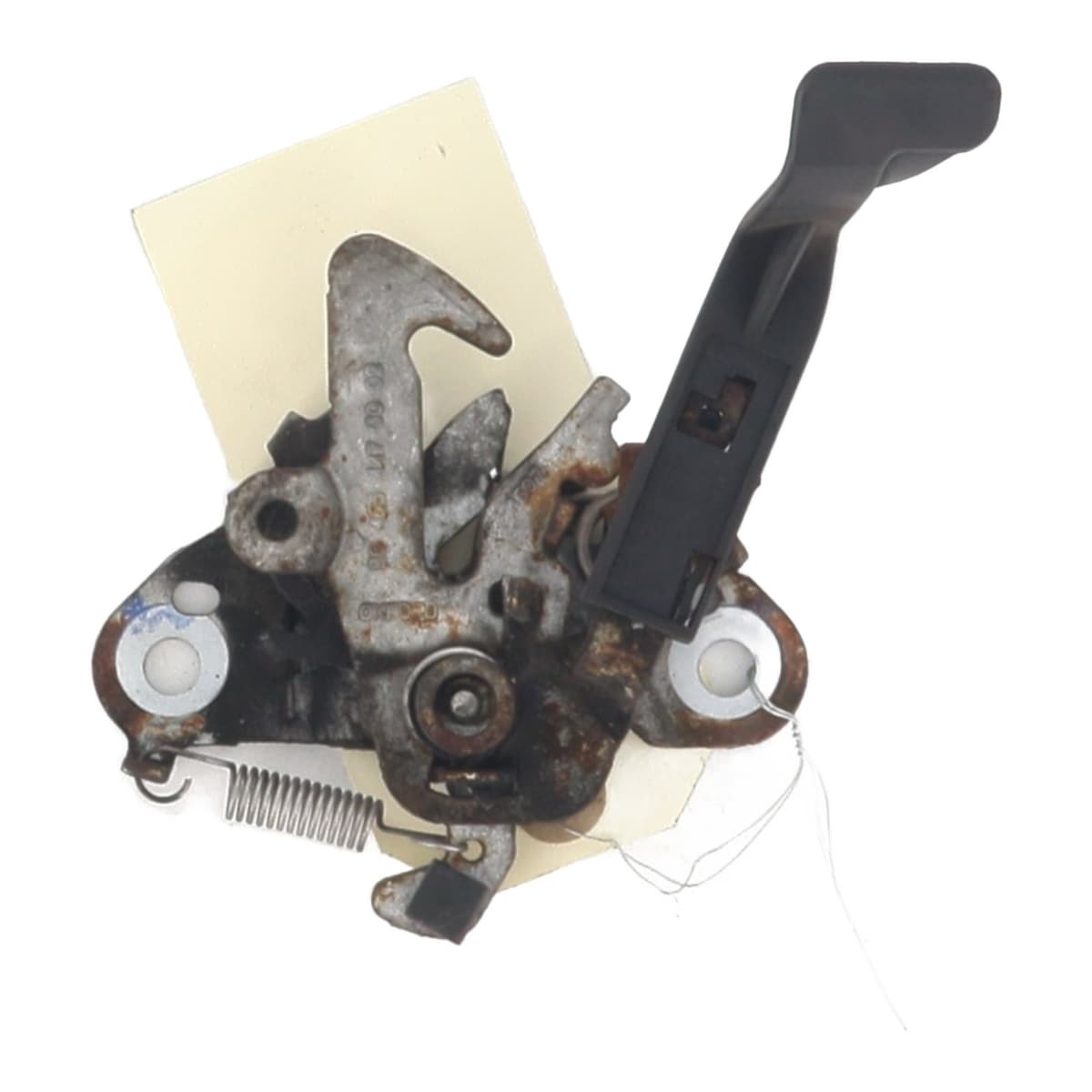 Image sélectionnée