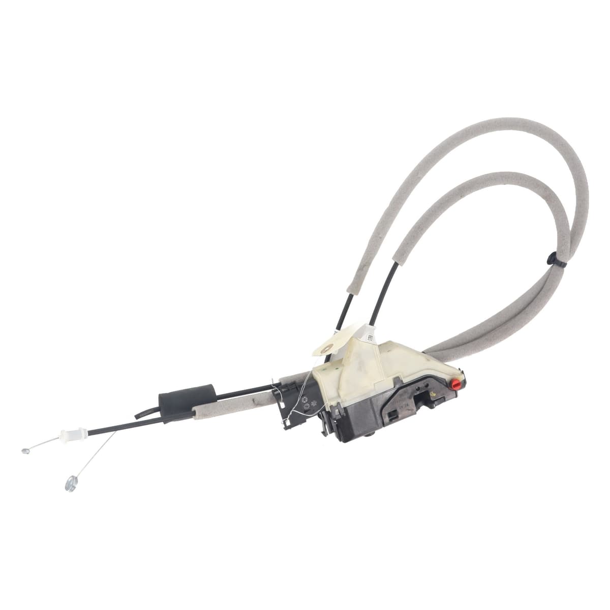 Image sélectionnée