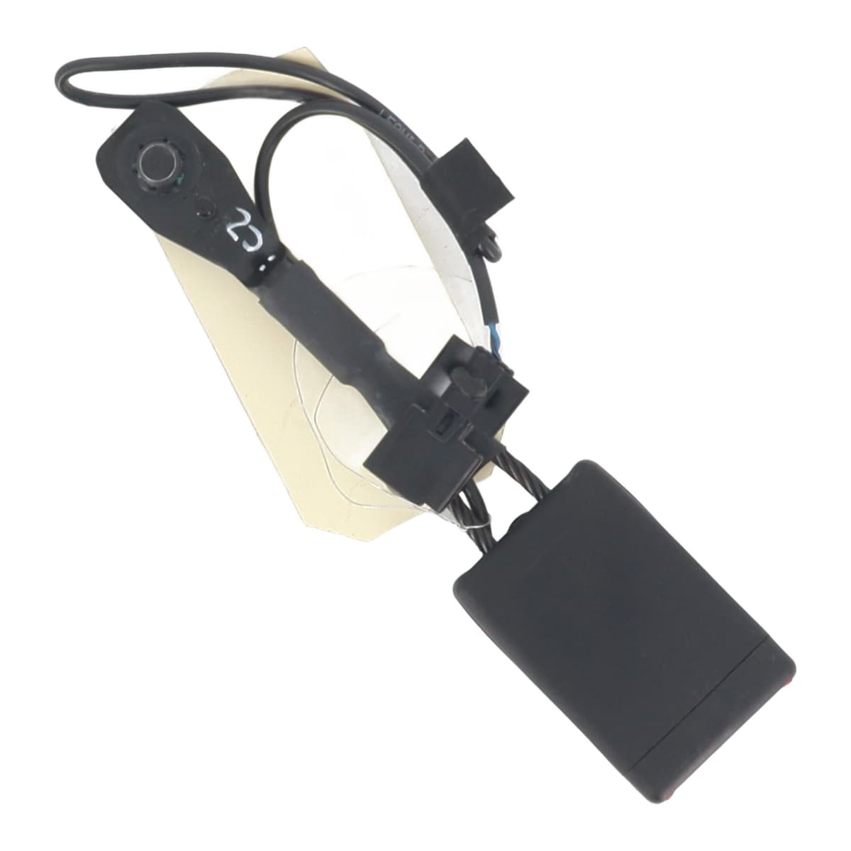 Image sélectionnée