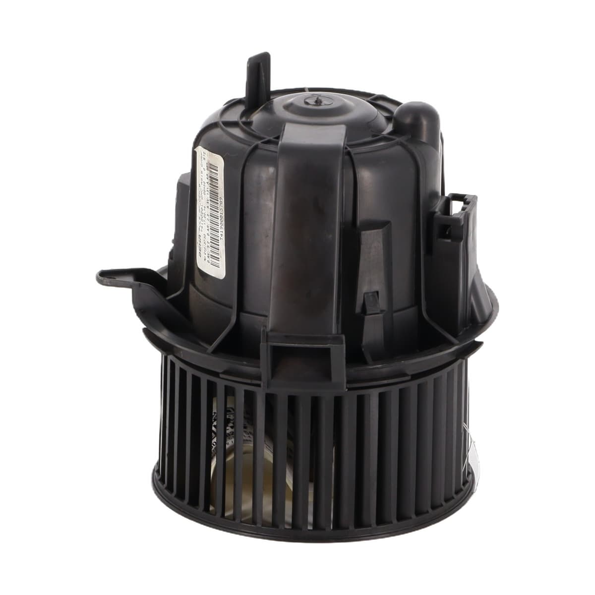 Image sélectionnée
