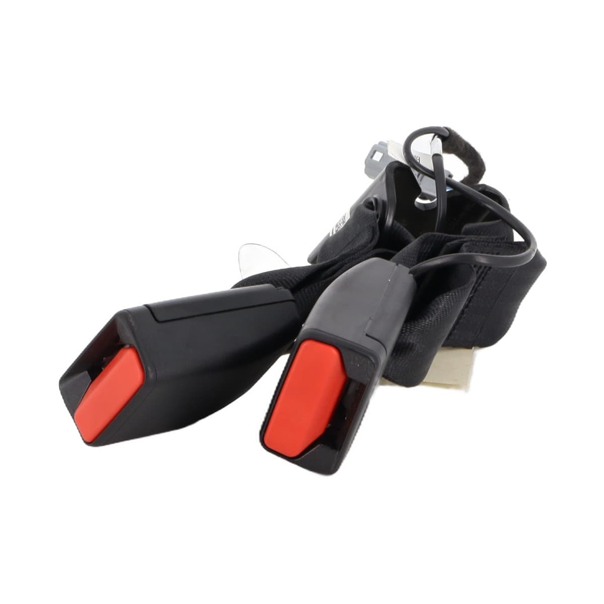 Image sélectionnée