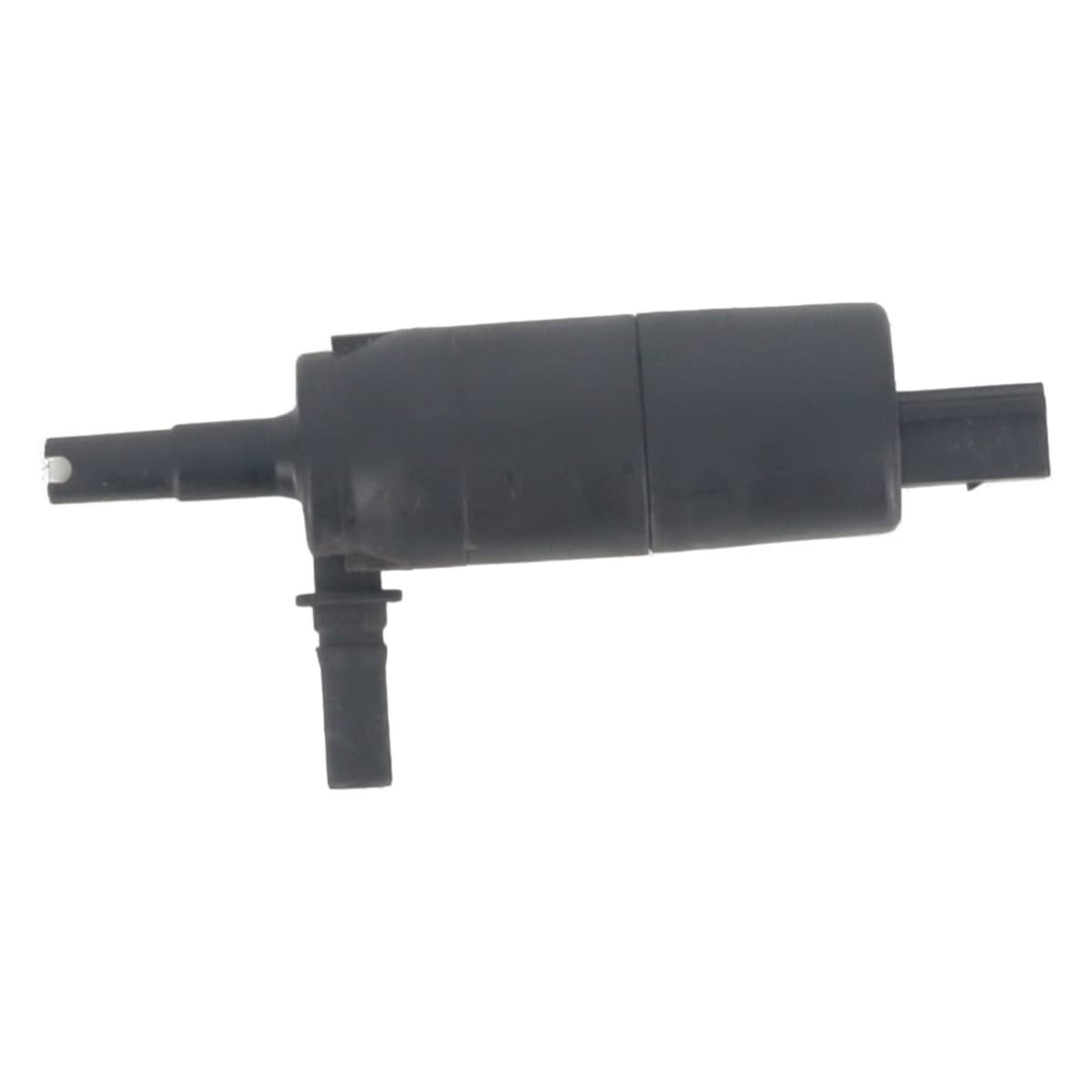 Image sélectionnée