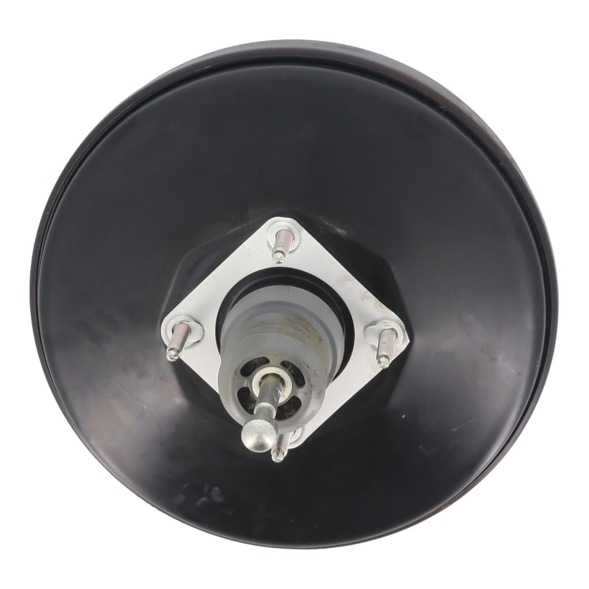 Image sélectionnée