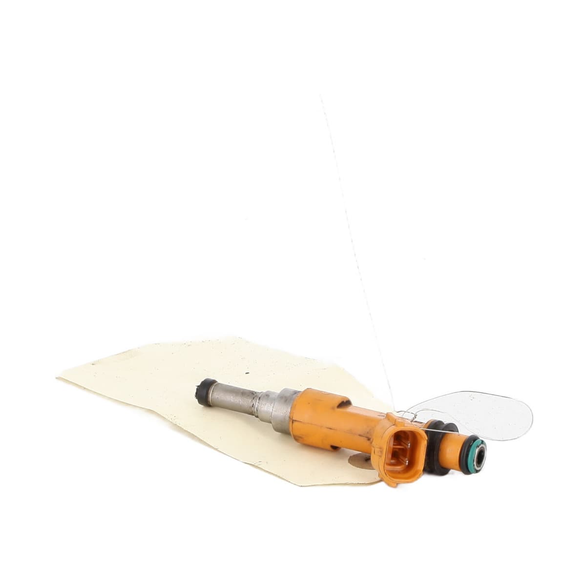 Image sélectionnée