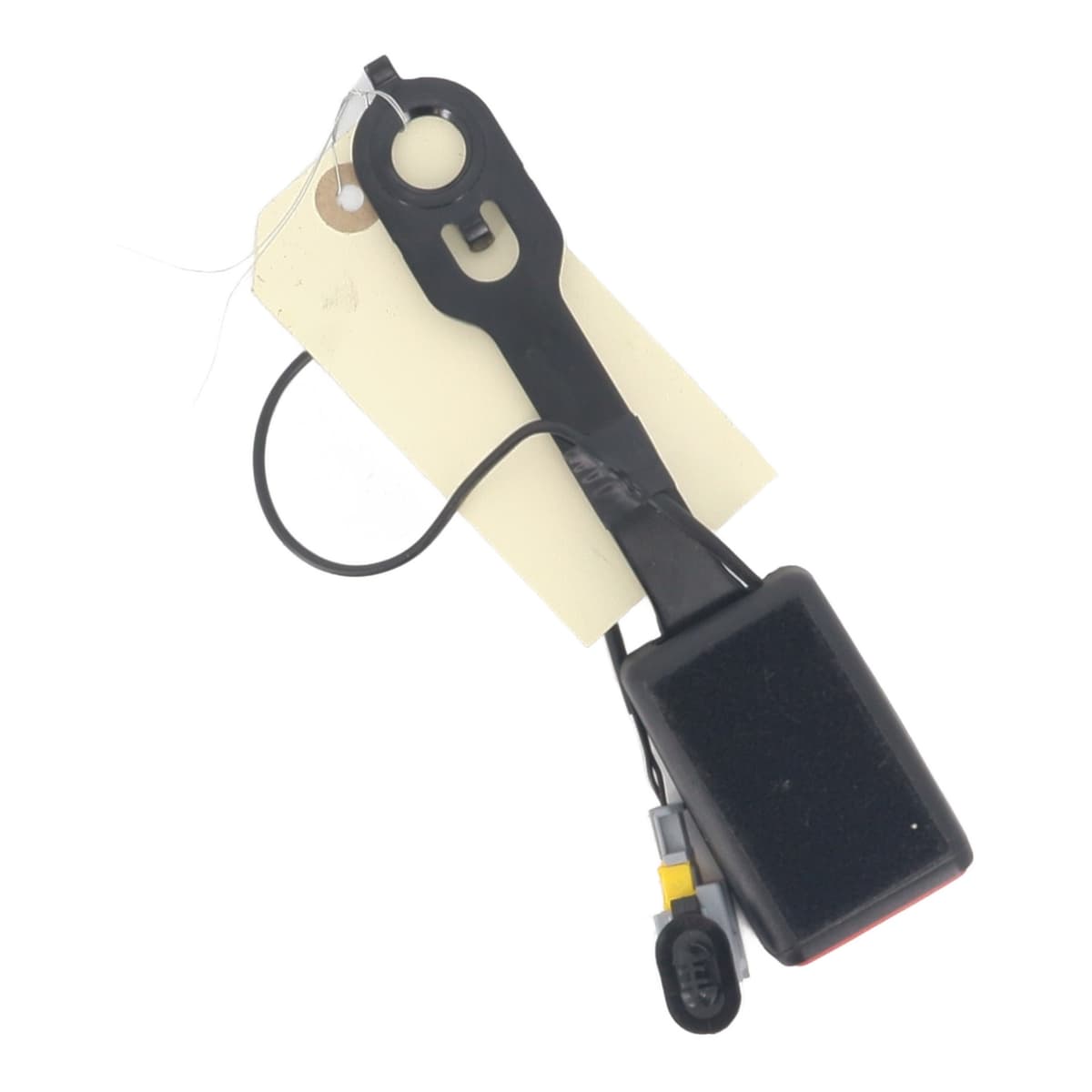 Image sélectionnée