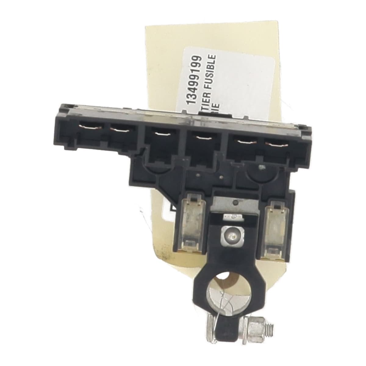 Image sélectionnée