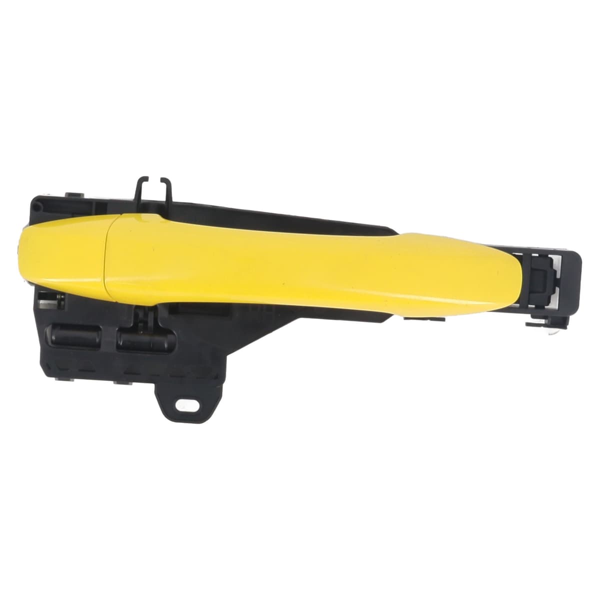 Image sélectionnée