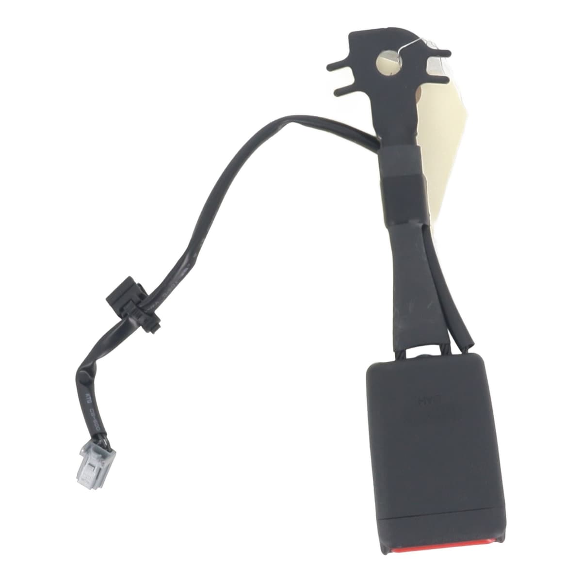 Image sélectionnée