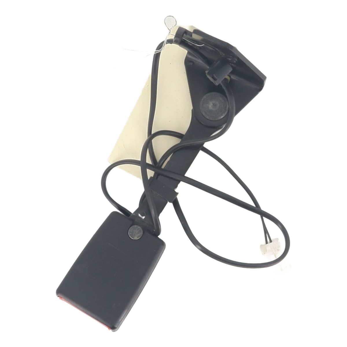 Image sélectionnée