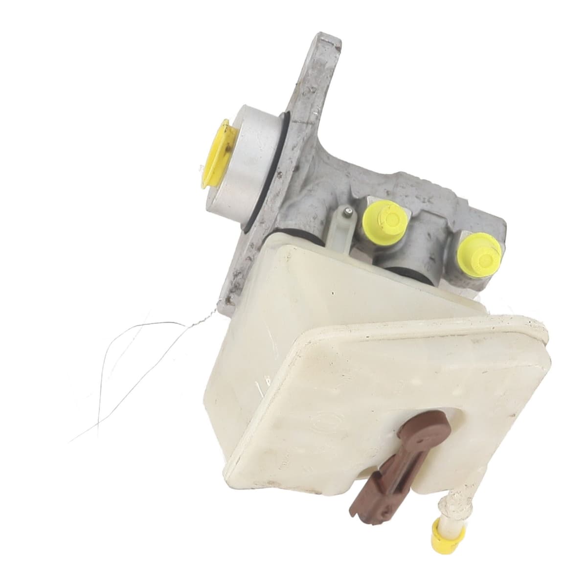 Image sélectionnée