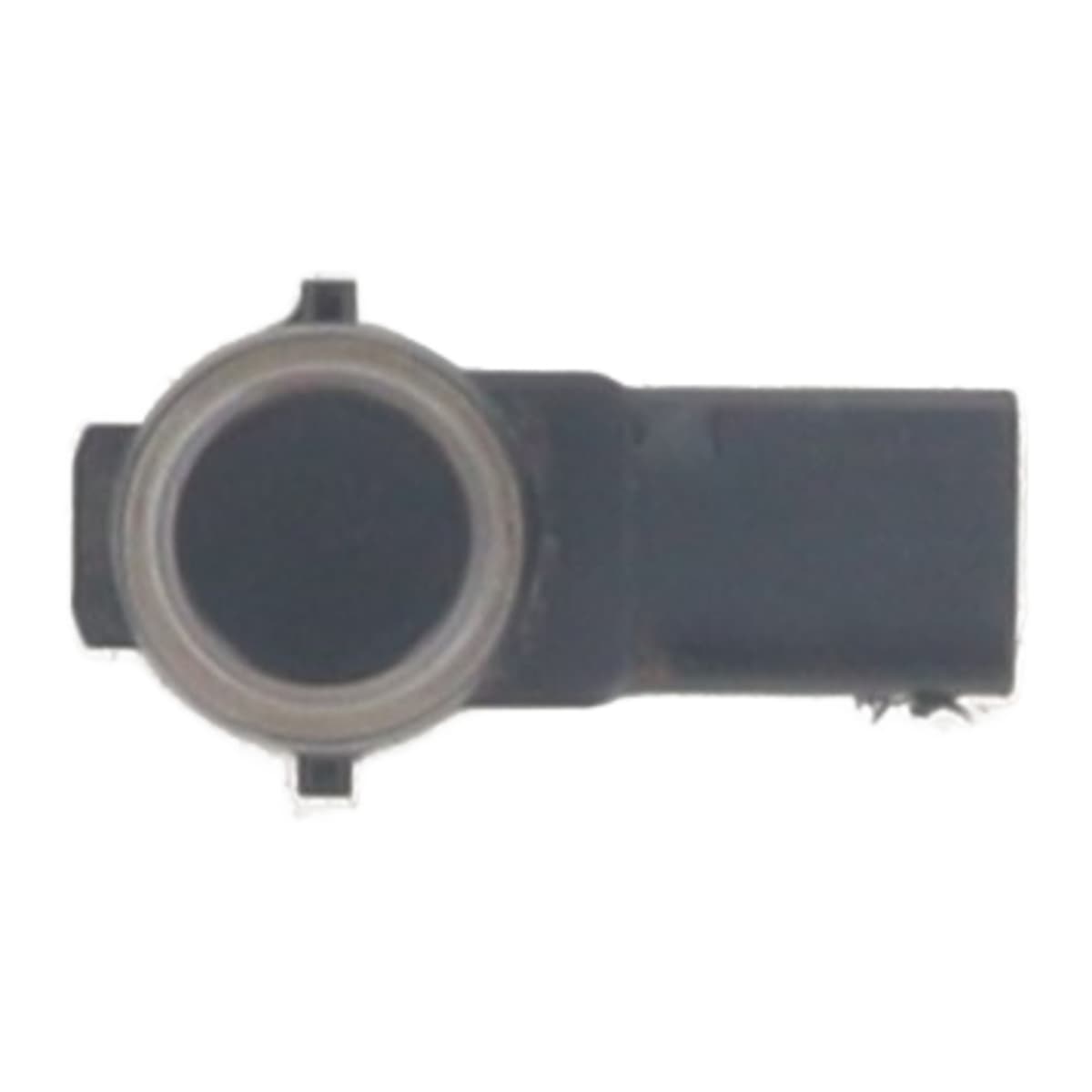 Image sélectionnée