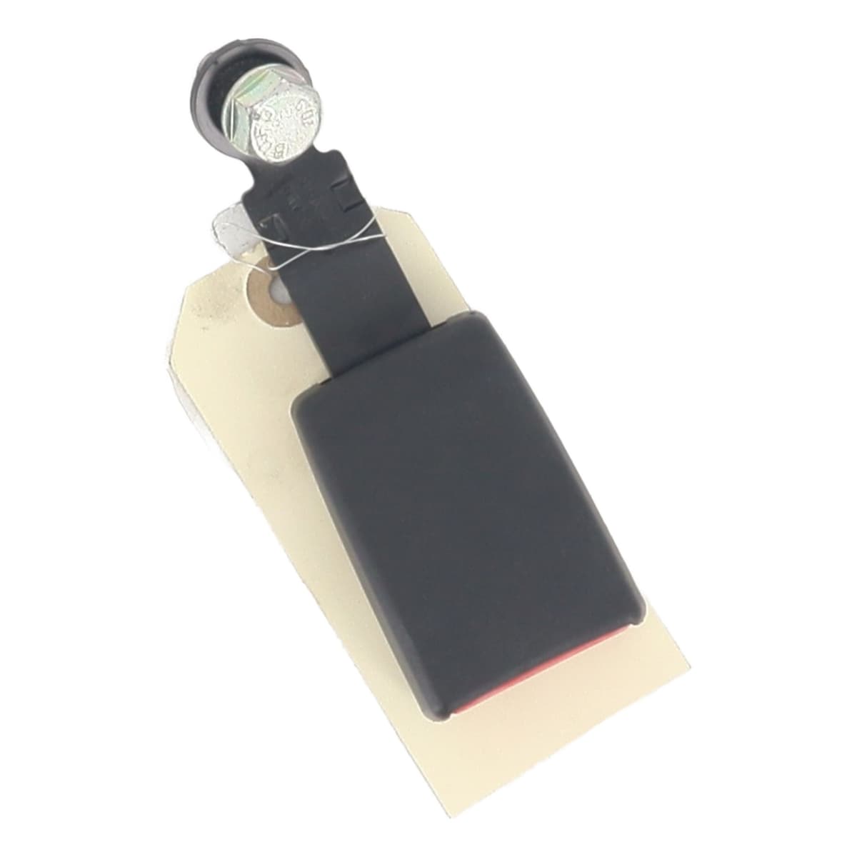 Image sélectionnée