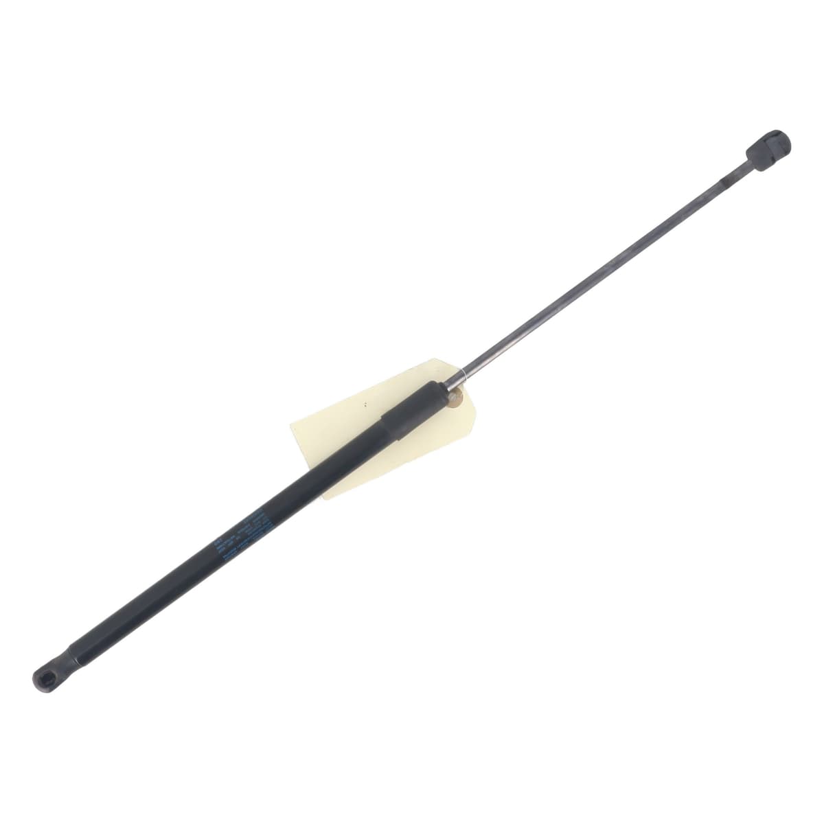 Image sélectionnée