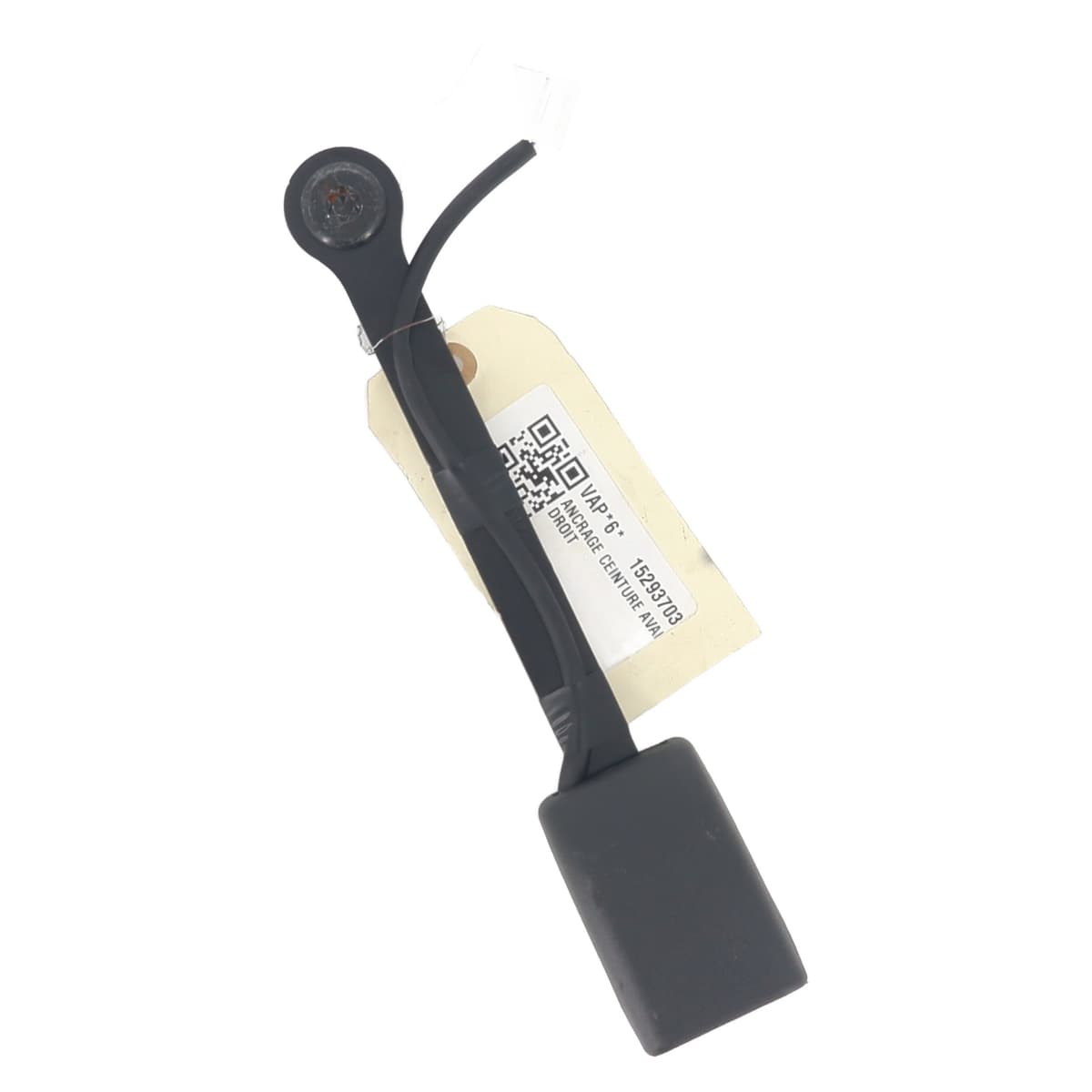 Image sélectionnée