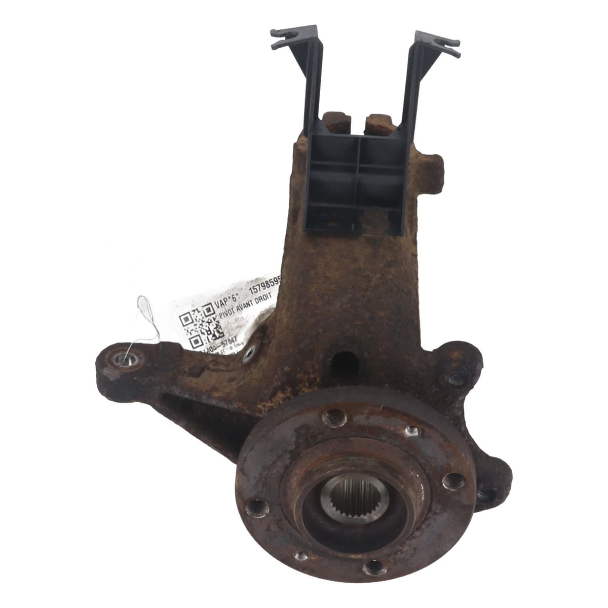 Image sélectionnée