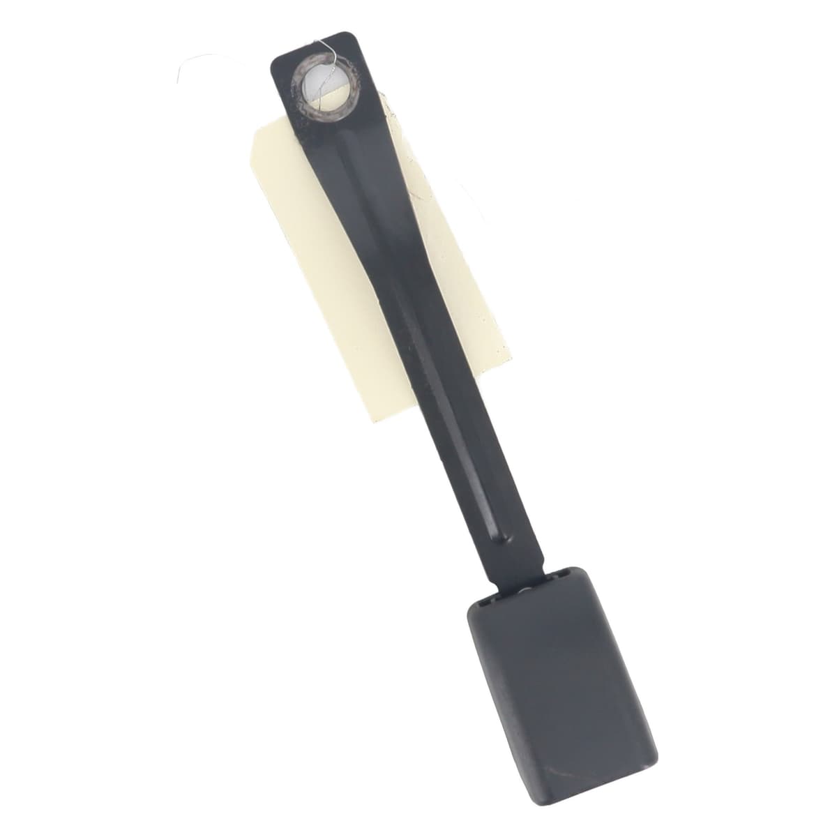 Image sélectionnée