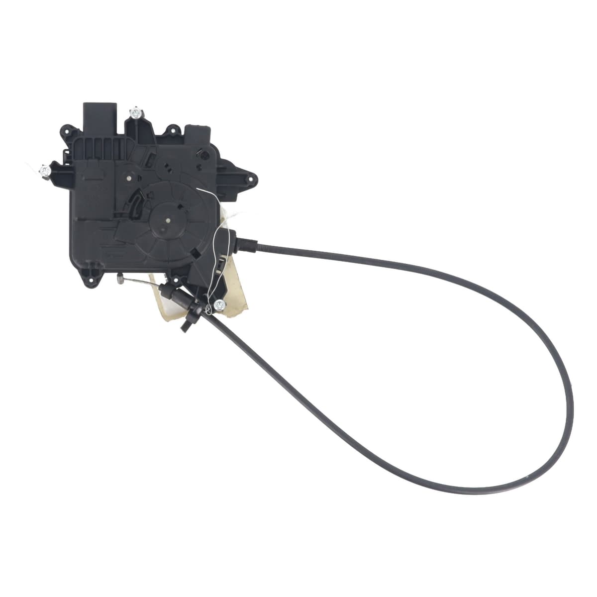 Image sélectionnée