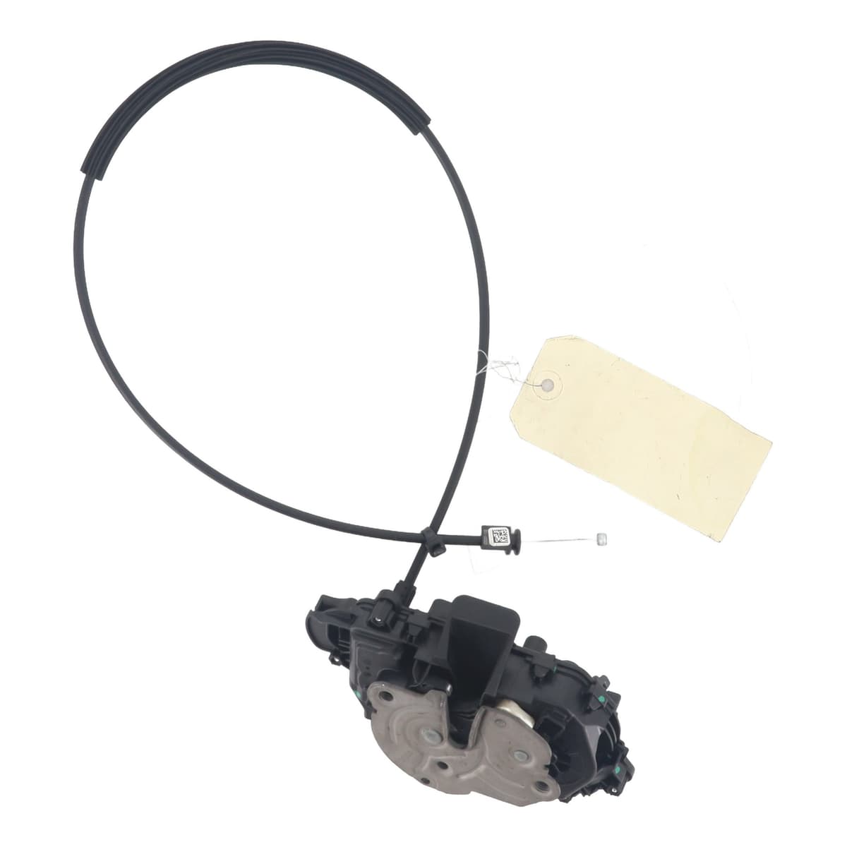 Image sélectionnée