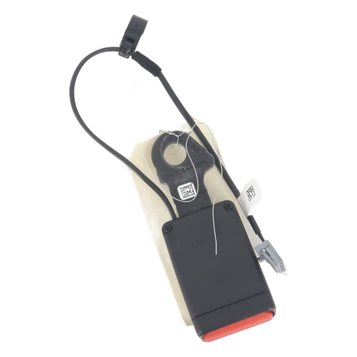 Image sélectionnée