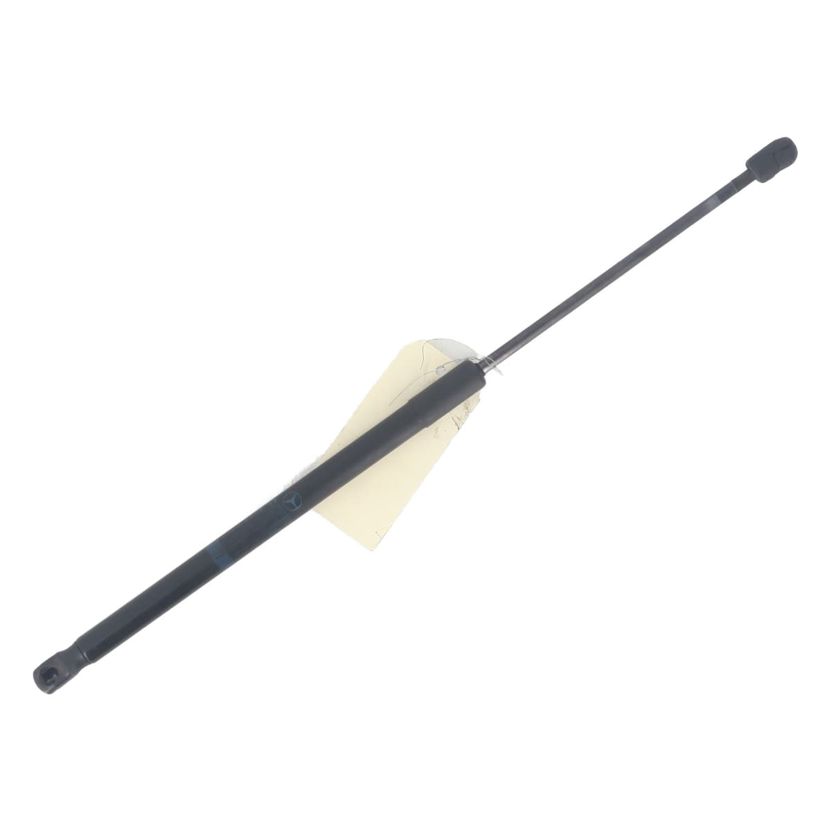 Image sélectionnée