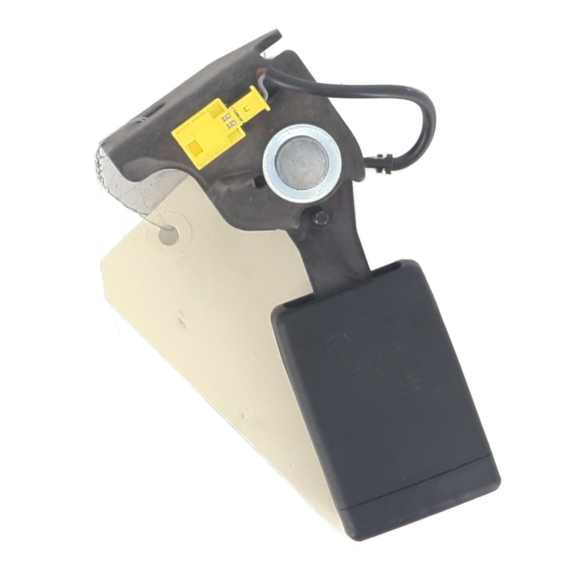 Image sélectionnée