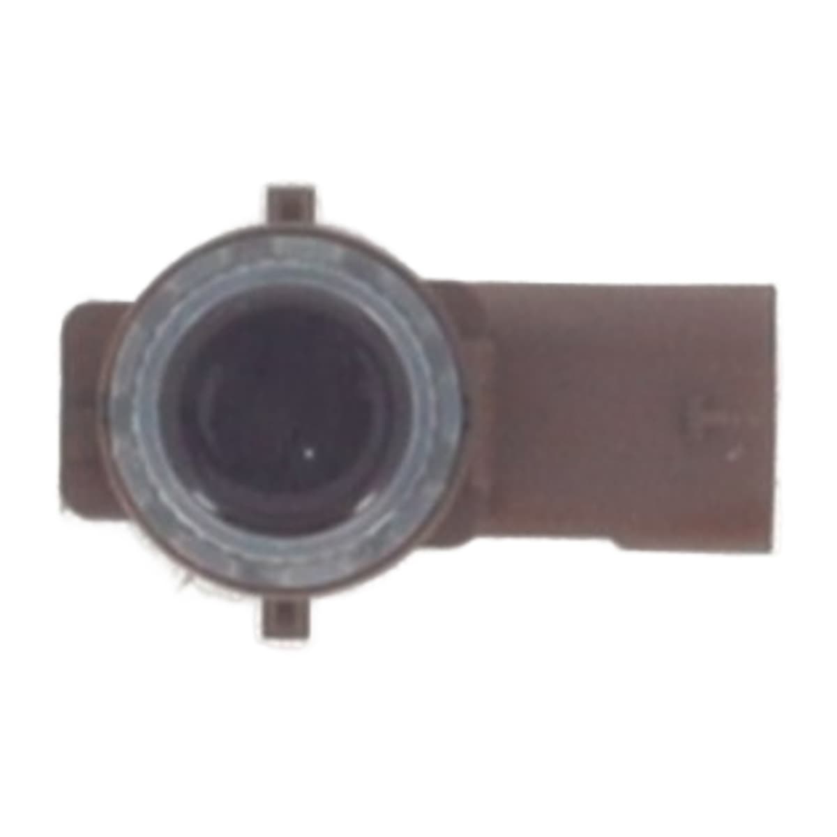 Image sélectionnée