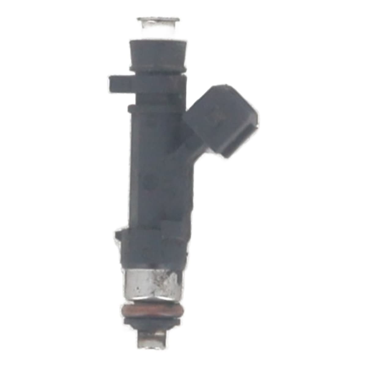 Image sélectionnée