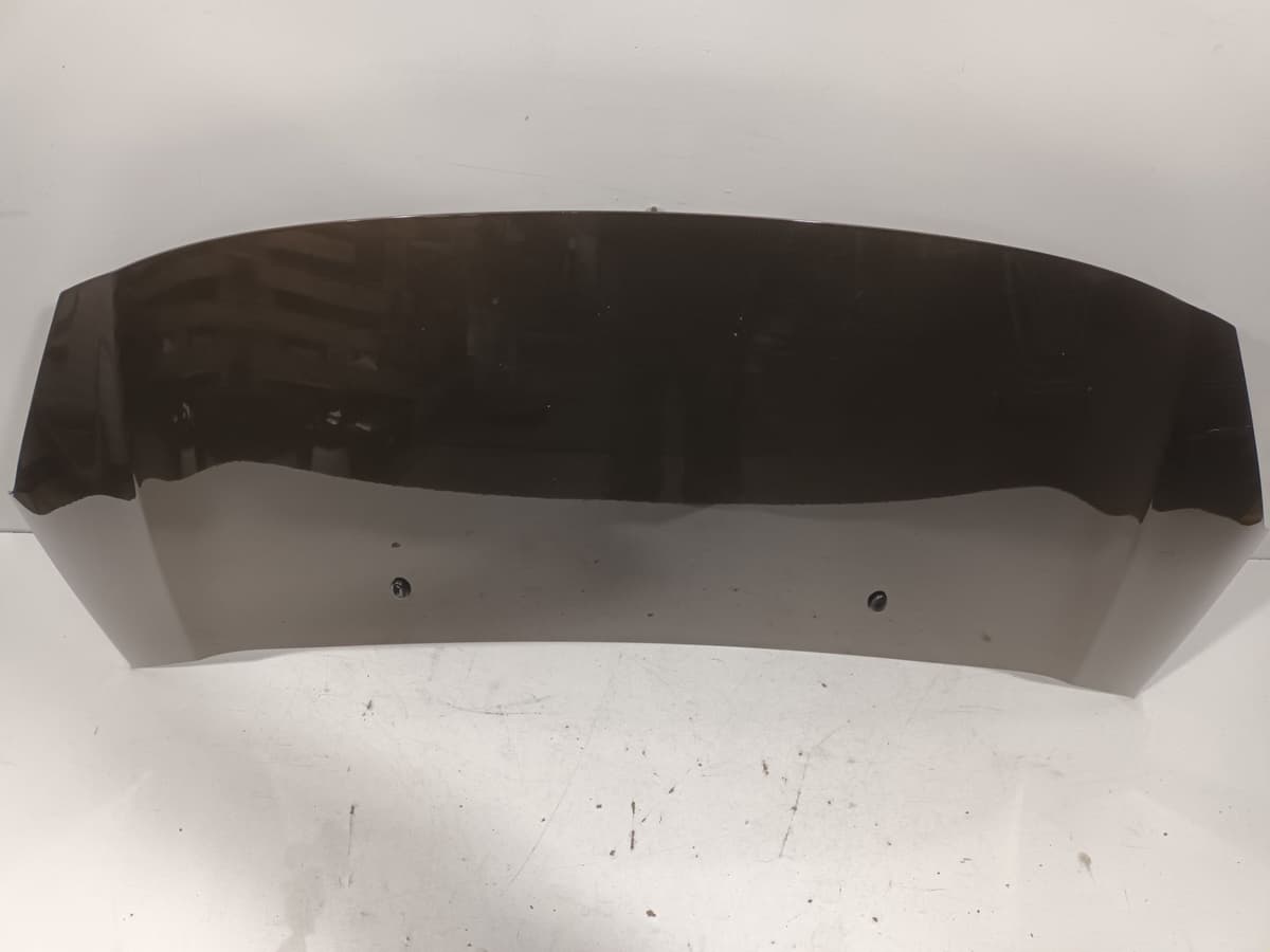 Capot — CITROEN — C3 II — PHASE 1 — OE 7901R1 — occasion garantie 2 ans