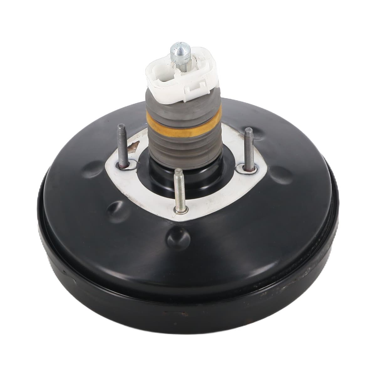 Image sélectionnée