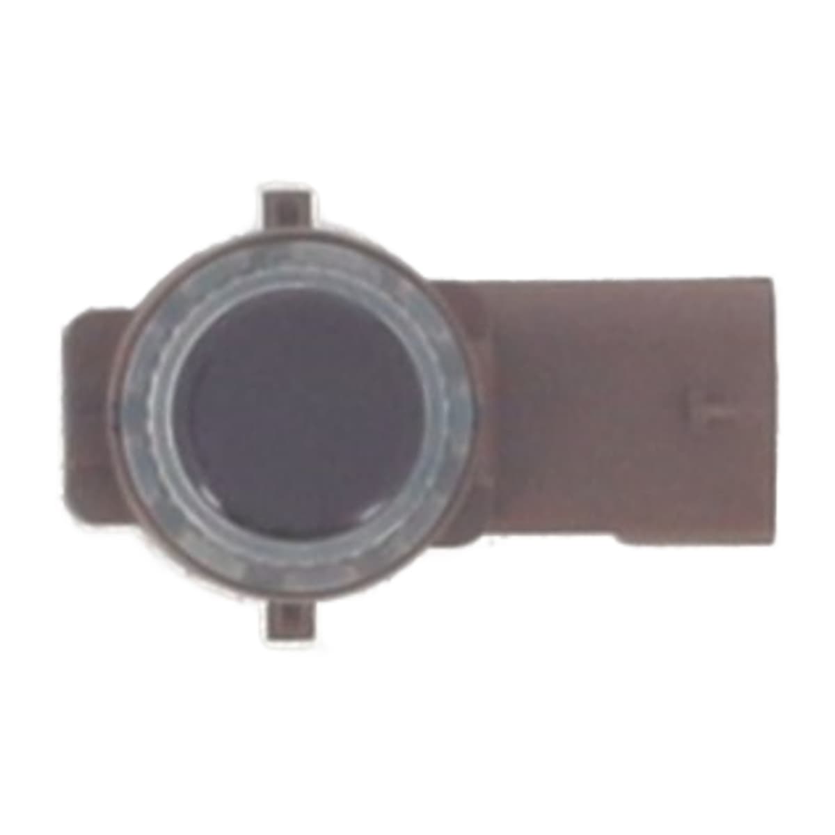 Image sélectionnée