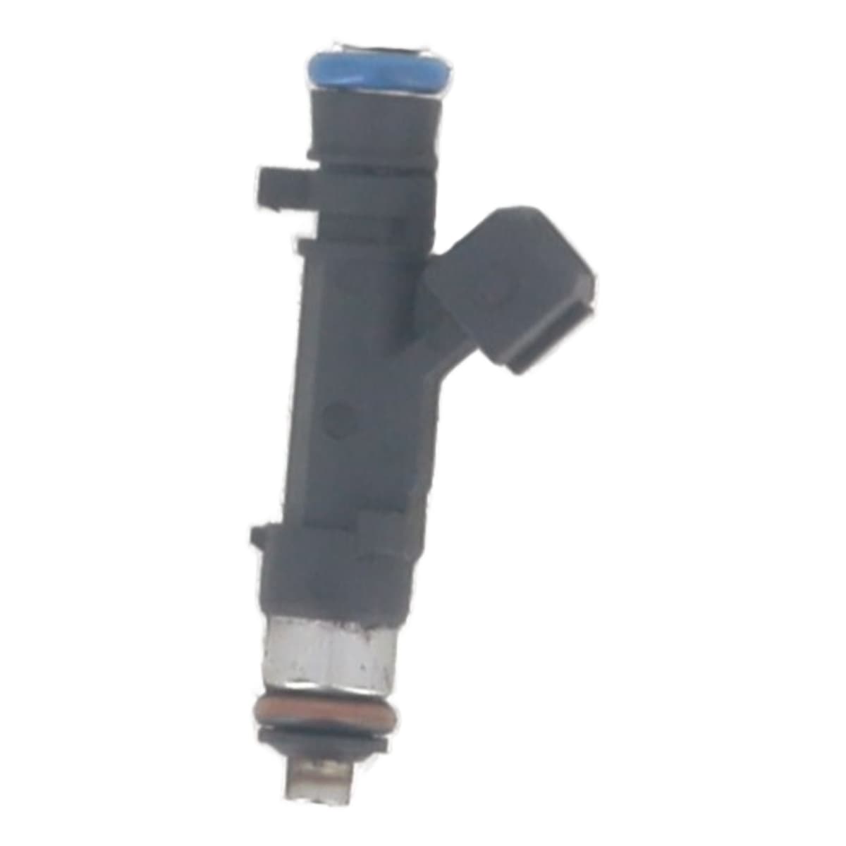 Image sélectionnée