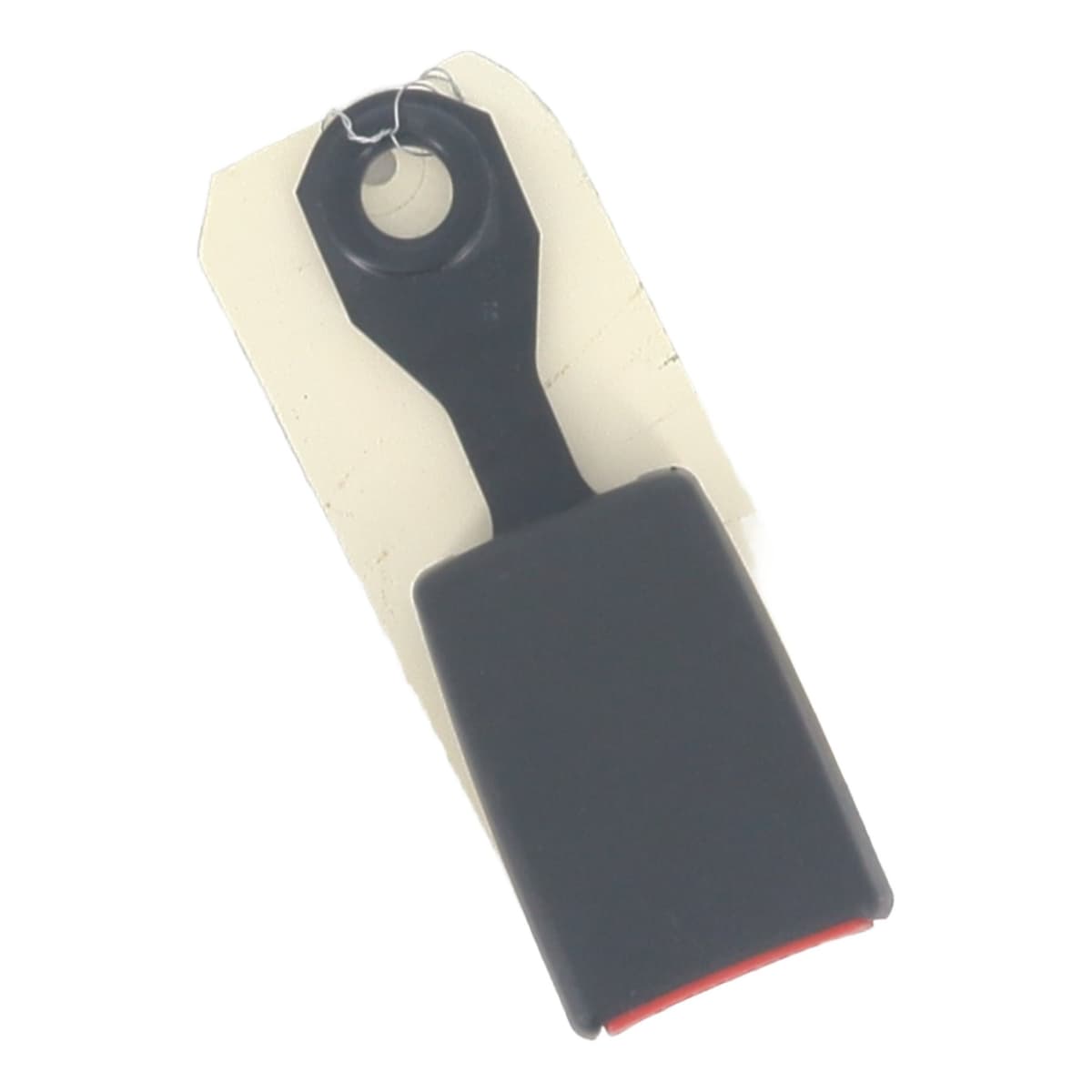 Image sélectionnée