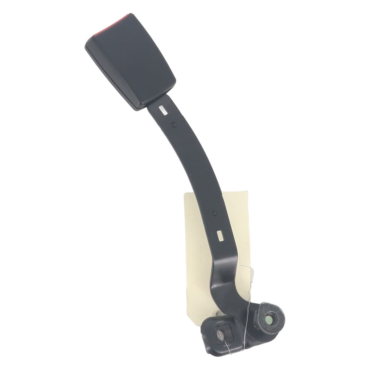 Image sélectionnée